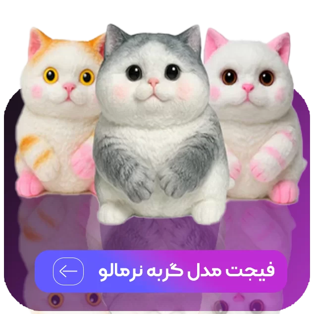 فیجت